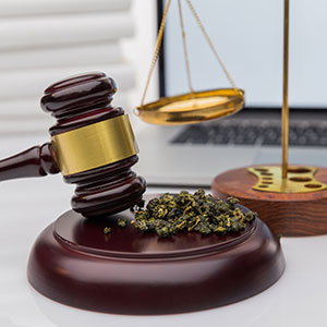 California Supreme Court Holds Hearing On Medical Marijuana Dispensaries